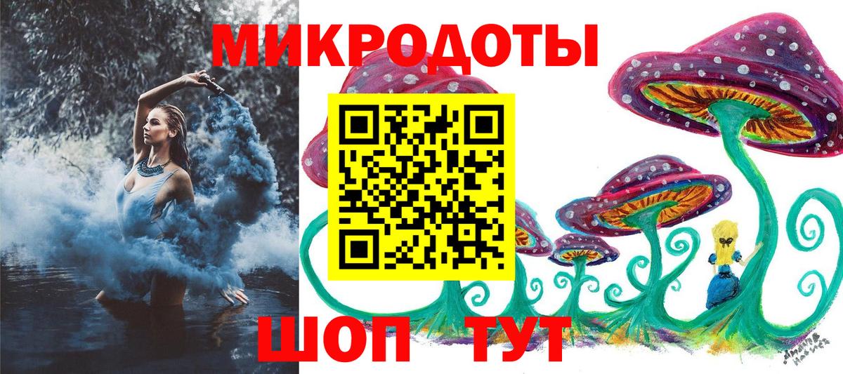 Псилоцибиновые грибы мицелий Торжок