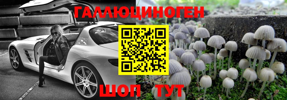 Торжок  Псилоцибиновые грибы MAGIC MUSHROOMS  Вход с VPN 